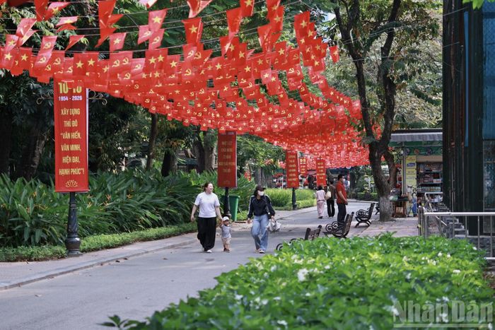 Những hàng cây lâu năm tạo bóng mát cho các lối đi nội bộ, mang lại không gian dạo bộ, thư giãn cho người dân. Hệ thống cây xanh hiện hữu là một trong những giá trị cảnh quan cần được gìn giữ trong quá trình cải tạo công viên.