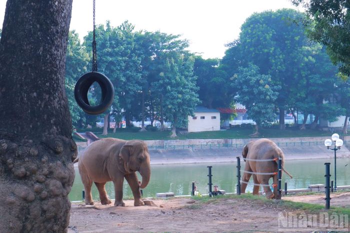 Vườn thú thuộc công viên có 37 chuồng, nuôi gần 600 động vật thuộc 88 loài (32 loài đặc hữu, quý hiếm).
