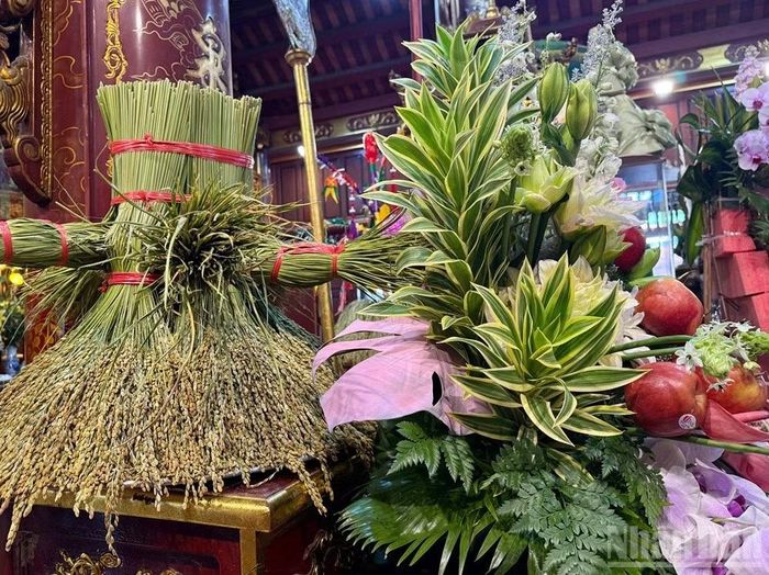 Lúa nếp mới được dâng lên thờ cúng tại đền. (Ảnh: THANH SƠN)