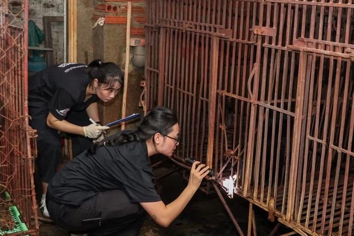 Cứu hộ gấu tại Phúc Thọ.
