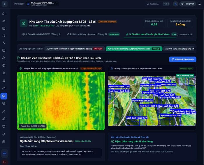 Nhận diện sâu bệnh bằng AI qua hình ảnh UAV gửi về. Ảnh: H.H