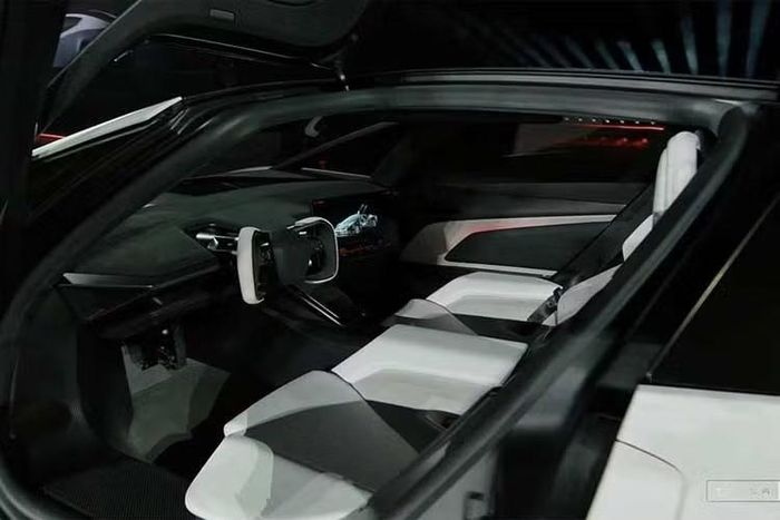 Tesla Roadster được giới thiệu với ngoại thất màu trắng Ano White, lấy cảm hứng từ công nghệ hàng không vũ trụ. Theo mô tả của hãng, lớp sơn có khả năng chống tia UV, chịu nhiệt độ thấp, hạn chế tĩnh điện và chống ăn mòn.
