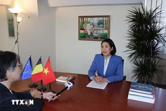Đại sứ Việt Nam tại Vương quốc Bỉ, Trưởng Phái đoàn Việt Nam bên cạnh EU Nguyễn Hương Trà.