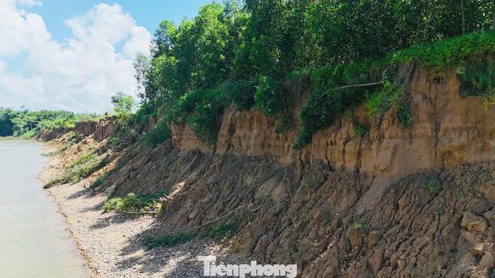 Đoạn bờ sông bị sạt lở với chiều dài hơn 1.000 m.