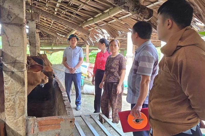 Đoàn nghiệm thu của UBND xã Phong Dụ Hạ kiểm tra thực tế tại các cơ sở chăn nuôi.