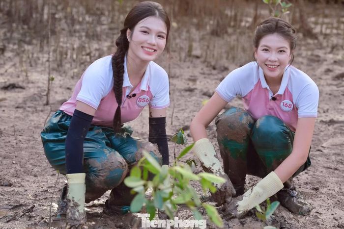 Các hoạt động cộng đồng như trồng cây tại rừng ngập mặn Bàng La (TP Hải Phòng) trong vòng chung kết giúp Kim Châu có cái nhìn trực tiếp hơn về công việc bảo vệ môi trường. Những trải nghiệm này thôi thúc cô xây dựng ý tưởng xanh cho hành trình sau cuộc thi.
