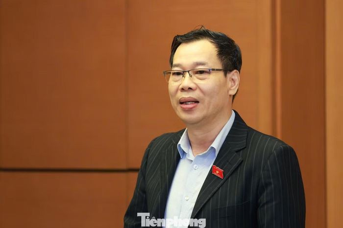 Đại biểu Đỗ Đức Hồng Hà. (Ảnh: Như Ý)