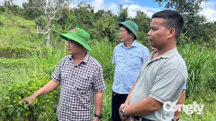 Phó Chủ tịch UBND tỉnh Đắk Lắk Nguyễn Thiên Văn (ngoài cùng bên trái) đi kiểm tra các hồ đập ở địa bàn