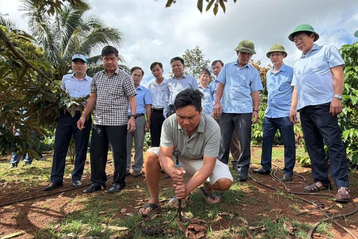 Người dân Đắk Lắk chuẩn bị chống chọi với nguy cơ hạn hán đang đến gần