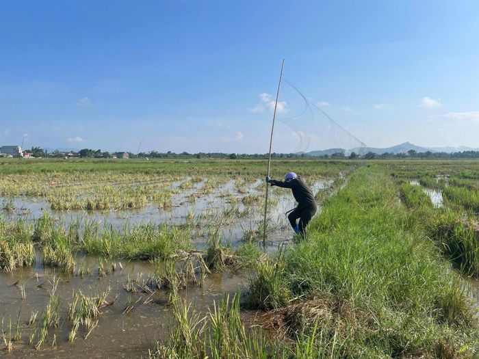 Thu giữ lưới đánh bắt chim trời