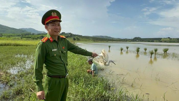 Thả chim trời về lại môi trường tự nhiên