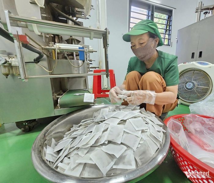 Mỗi năm, HTX thu hoạch khoảng 250 tấn dược liệu tươi, chế biến thành hơn 36 tấn thành phẩm. Ảnh: Hải Sâm