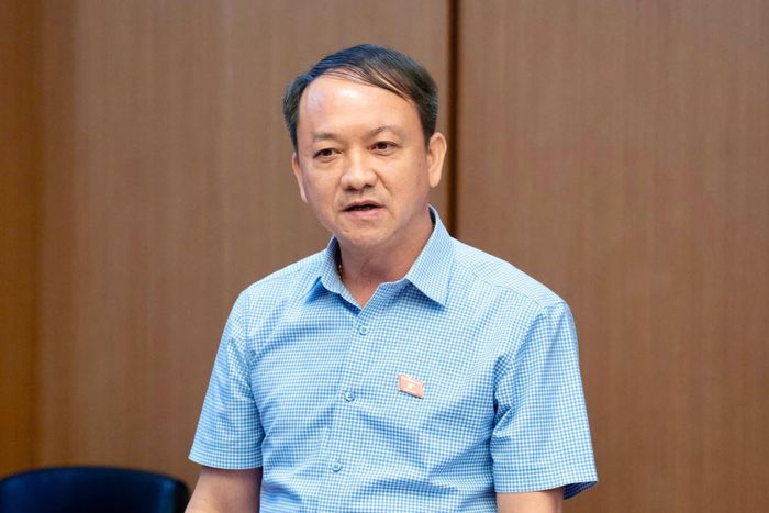Đại biểu Sầm Minh Hồ. Ảnh: Media QH