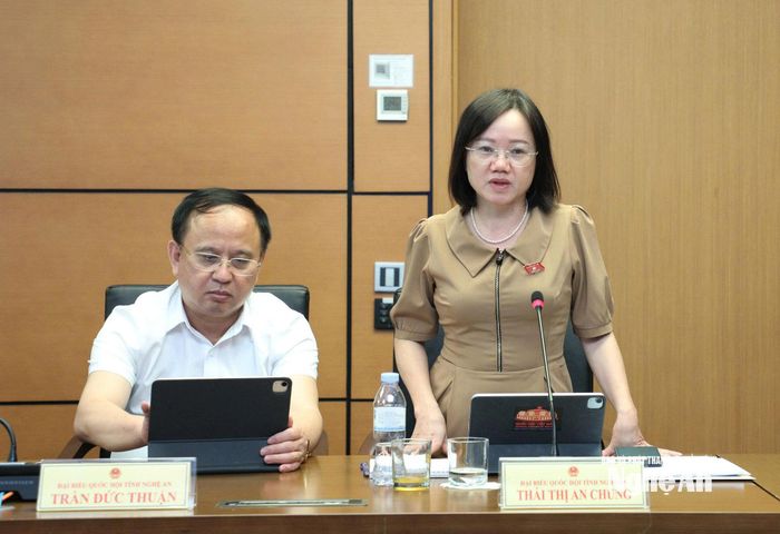 Đại biểu Thái Thị An Chung - Phó Trưởng đoàn chuyên trách Đoàn ĐBQH tỉnh phát biểu thảo luận. Ảnh: Khánh Duy