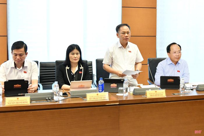 Đại biểu Trần Đình Gia - Phó Trưởng đoàn chuyên trách Đoàn ĐBQH tỉnh Hà Tĩnh tham gia thảo luận.
