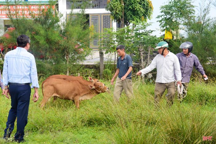Chương trình cho thấy sự quan tâm, đồng hành của cấp ủy, chính quyền, MTTQ và các tổ chức chính trị - xã hội đối với những hoàn cảnh còn khó khăn. Sự hỗ trợ không chỉ mang giá trị vật chất mà còn tiếp thêm niềm tin, động lực để người dân nỗ lực vươn lên bằng chính sức lao động của mình.
