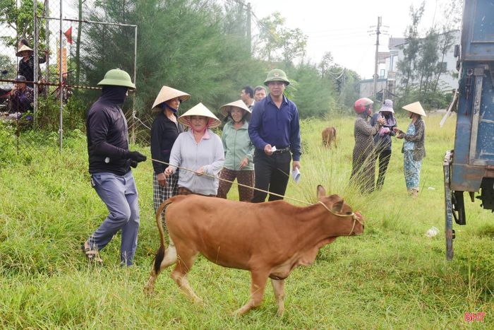 Cùng với trao con giống, các hộ được thụ hưởng còn được hướng dẫn phòng chống dịch bệnh, cách tận dụng nguồn thức ăn và áp dụng kỹ thuật chăn nuôi phù hợp. Đây là yếu tố quan trọng giúp mô hình sinh kế phát huy hiệu quả, hạn chế rủi ro và tạo nền tảng phát triển kinh tế gia đình lâu dài.