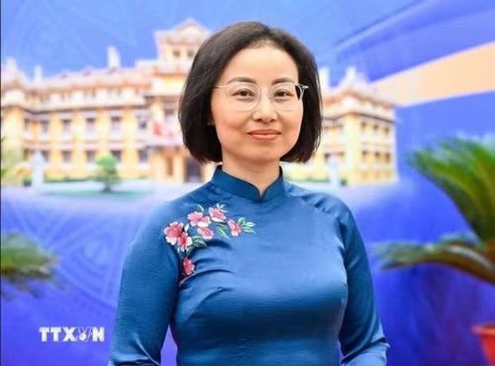 Đại sứ Việt Nam tại Vương quốc Đan Mạch, Nguyễn Lê Thanh. (Ảnh: TTXVN phát)