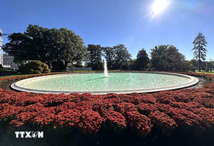 Đài phun nước tại bãi cỏ phía Nam (South Lawn) trong khuôn viên Nhà Trắng, được bao quanh bởi những thảm hoa đại cúc màu đỏ cam. (Ảnh: Ngọc Quang/TTXVN)