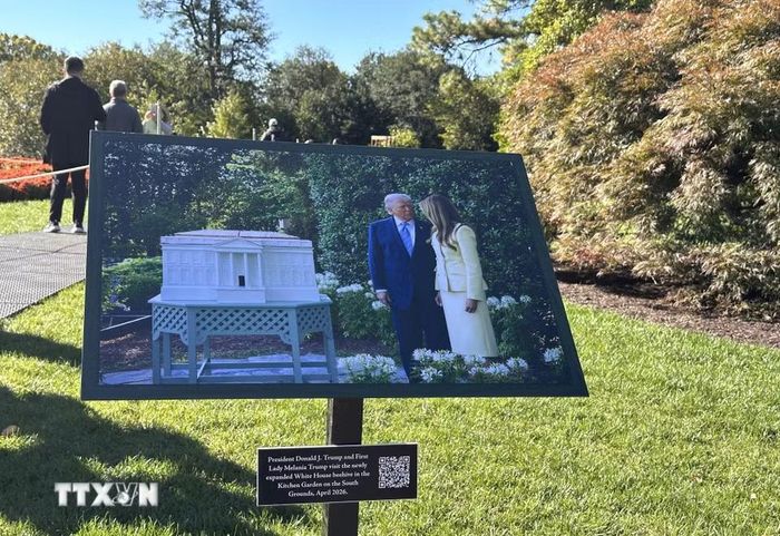 Bức ảnh ghi lại khoảnh khắc Tổng thống Donald Trump và Đệ nhất Phu nhân Melania Trump thăm khu vực tổ ong được mở rộng tại Vườn rau Nhà Trắng vào tháng 4/2026. (Ảnh: Ngọc Quang/TTXVN)