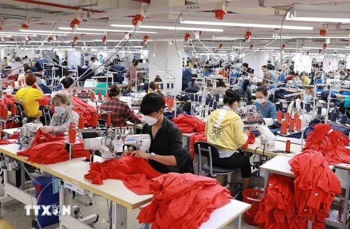 May xuất khẩu tại Công ty TNHH Công nghệ may mặc Spectre An Giang, 100% vốn của Đan Mạch (khu công nghiệp Bình Hòa, tỉnh An Giang). (Ảnh: Vũ Sinh/TTXVN)