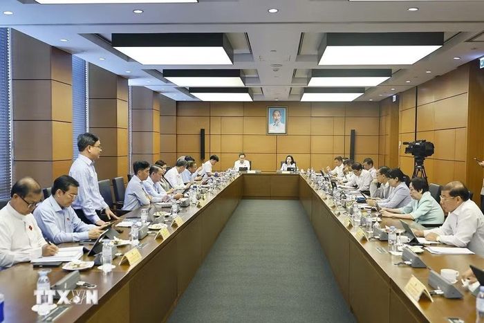 Đoàn đại biểu Quốc hội Thành phố Hồ Chí Minh thảo luận ở tổ. (Ảnh: Doãn Tấn/TTXVN)