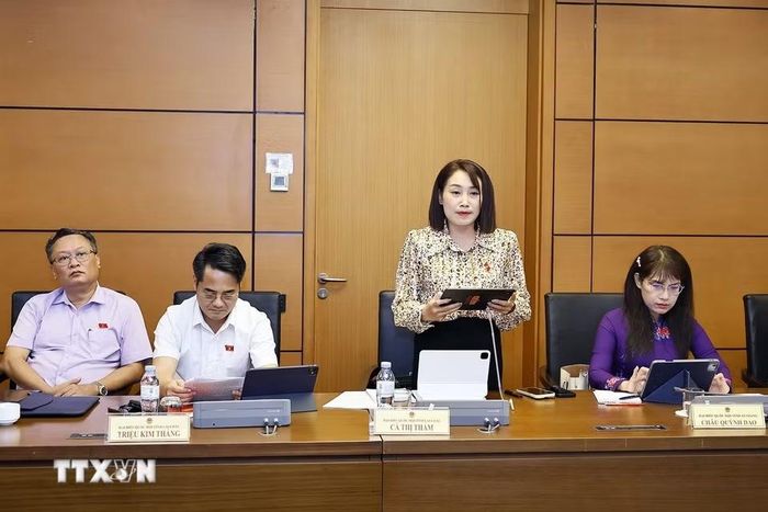 Đại biểu Quốc hội tỉnh Lai Châu Cà Thị Thắm phát biểu. (Ảnh: Doãn Tấn/TTXVN)