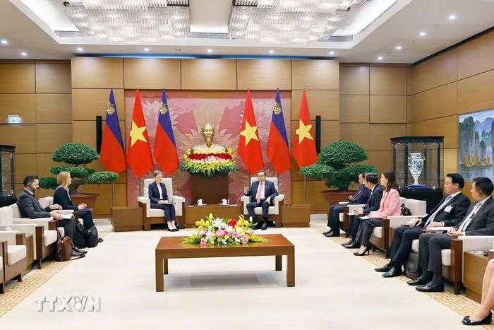 Chủ tịch Quốc hội Trần Thanh Mẫn hội kiến Thủ tướng Công quốc Liechtenstein Brigitte Haas. (Ảnh: Doãn Tấn/TTXVN)
