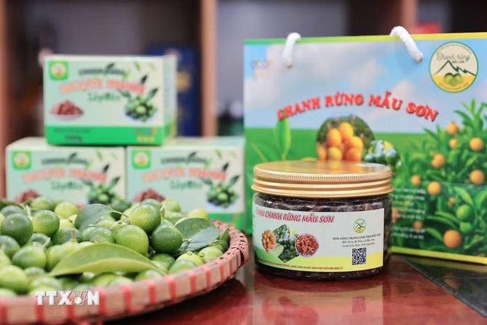 Ảnh minh họa. (Ảnh: Lê Đông/TTXVN)