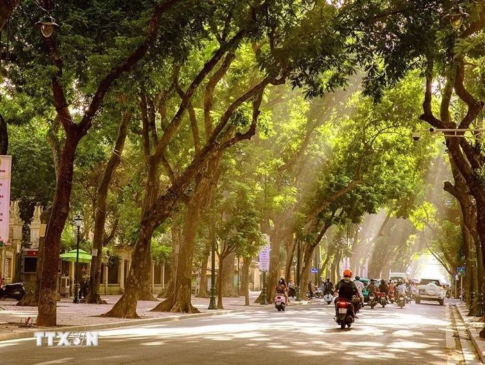 Hà Nội mỗi mùa đều mang một vẻ đẹp riêng, nhưng có lẽ mùa Thu là mùa khiến lòng người say đắm, xao xuyến hơn cả. (Ảnh: Khánh Hòa/TTXVN)