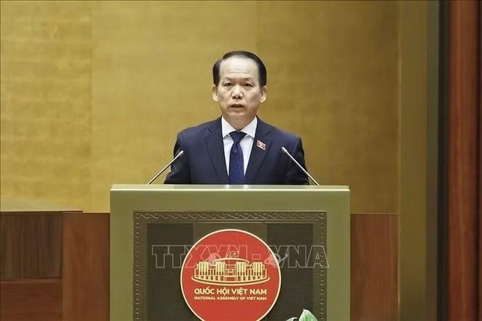 Bộ trưởng Bộ Tư pháp Hoàng Thanh Tùng, thừa ủy quyền của Thủ tướng Chính phủ trình bày tờ trình về 3 dự án: Luật Đấu giá tài sản (sửa đổi); Luật Luật sư (sửa đổi); Luật Nuôi con nuôi (sửa đổi). Ảnh: Doãn Tấn/TTXVN