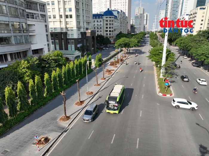 Hiện nay, hàng cây xanh trên đường Mễ Trì đã được cắt gọn, chờ di dời, phục vụ thi công dự án hầm chui.