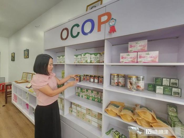 HTX hiện sở hữu 4 sản phẩm đạt chứng nhận OCOP 4 sao cấp tỉnh và 1 sản phẩm đạt OCOP 3 sao.
