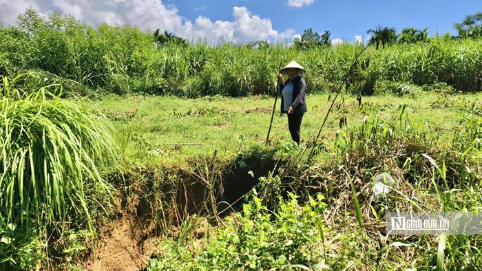 Cũng sống ven sông, bà Nguyễn Thị Tâm cho hay, nhiều khu đất trước đây người dân trồng hoa màu nay đã bị nước cuốn mất. Điều bà và các hộ dân lo lắng là những phần đất còn lại nằm sát mép sạt, trong khi chưa có công trình bảo vệ bờ.