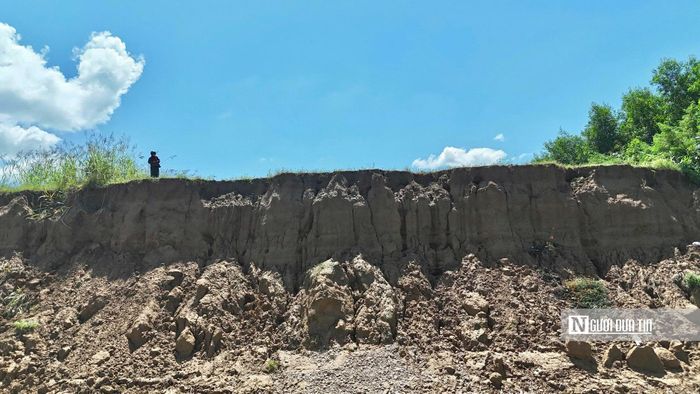 Ông Nguyễn Văn Ky, người dân thôn An Lạc, có đất sản xuất nằm sát khu vực này. Ông cho biết, trước đây gia đình trồng keo, chuối và hoa màu trên phần đất ven sông. Sau mùa mưa lũ cuối năm 2025 và các đợt mưa đầu tháng 10/2026, nhiều mảng đất cùng cây trồng bị cuốn đi.