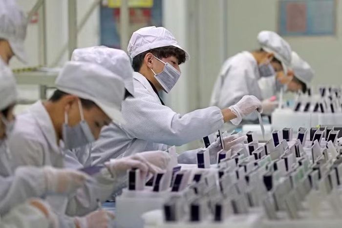 Dây chuyền sản xuất linh kiện pin mặt trời tại tỉnh Chiết Giang, Trung Quốc. Ảnh: Lin Yunlong/Zhejiang Daily.