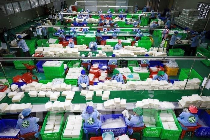 Từ đặc sản truyền thống Tây Ninh, bánh tráng siêu mỏng của Công ty TNHH Tân Nhiên đã được nâng tầm thành sản phẩm OCOP 5 sao cấp quốc gia, sản xuất theo tiêu chuẩn quốc tế FSSC 22000, xuất khẩu sang Hàn Quốc, Đài Loan (Trung Quốc), Mỹ, Australia, Nhật Bản và Thái Lan. Ảnh: Thanh Tân – TTXVN