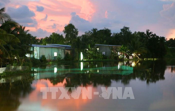 Mùa nước nổi ở Cần Thơ là nét chấm phá độc đáo trong bức tranh văn hóa, cảnh quan và đời sống miền sông nước. Ảnh: Duy Khương – TTXVN