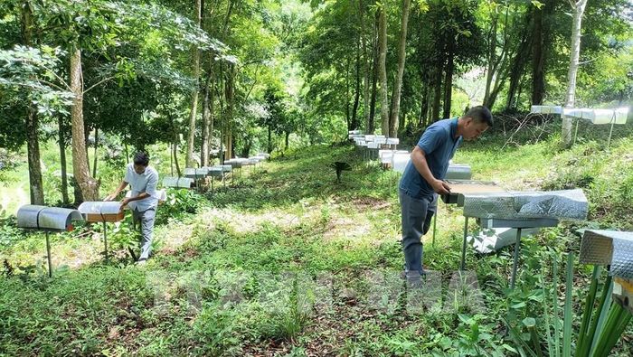 Công nghệ phải giúp bà con giải quyết các vấn đề cụ thể, giảm chi phí, nâng cao chất lượng và tìm kiếm đầu ra ổn định, giúp người dân nâng mức thu nhập trên mỗi đơn vị diện tích. Ảnh minh hoạ: Đặng Tuấn - TTXVN