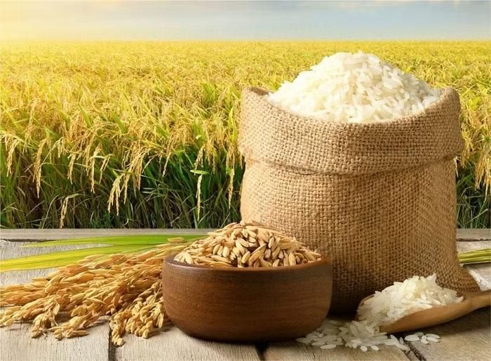 Giá lúa tươi hôm nay tại khu vực Đồng bằng sông Cửu Long biến động nhẹ