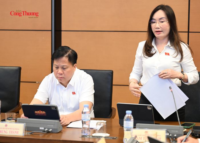 Đại biểu Phạm Thu Xanh (Đoàn đại biểu Quốc hội TP. Hải Phòng).