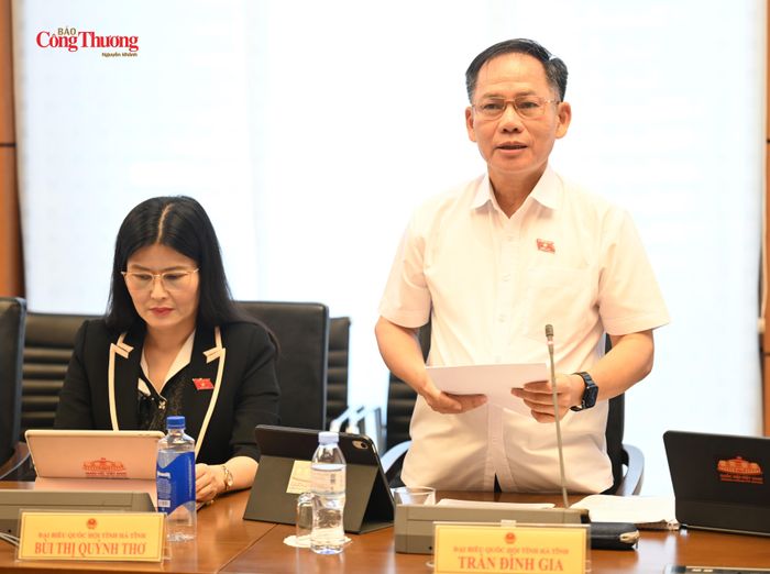 Đại biểu Trần Đình Gia (Đoàn đại biểu Quốc hội tỉnh Hà Tĩnh).