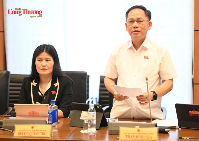 Đại biểu Trần Đình Gia (Đoàn đại biểu Quốc hội tỉnh Hà Tĩnh).