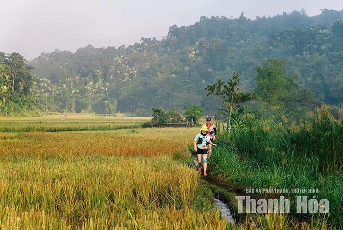 Những bước chạy băng qua ruộng bậc thang, bản làng và những cánh đồng lúa chín tạo nên hành trình thể thao hòa quyện cùng thiên nhiên.