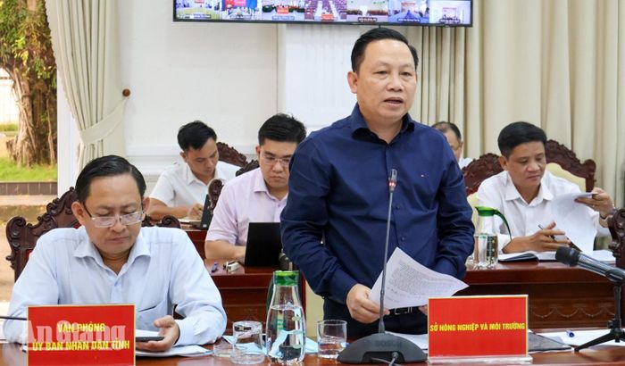 Giám đốc Sở Nông nghiệp và Môi trường Lê Hữu Toàn phát biểu về việc phân loại quản lý tàu cá không đủ điều kiện hoạt động.