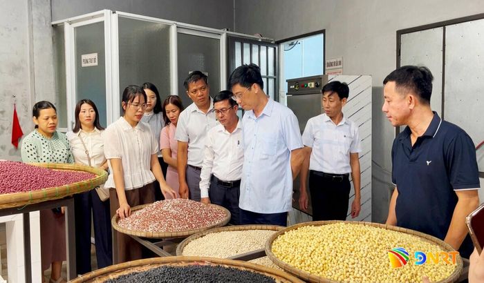 Hợp tác xã Nông nghiệp xanh Duy Oanh luôn chủ động tích trữ nguyên liệu để duy trì nhịp sản xuất. Ảnh: PHAN VINH