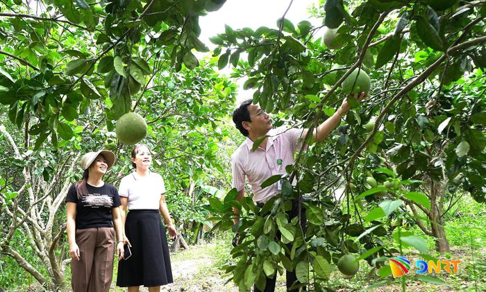 Lãnh đạo Ngân hàng Chính sách xã hội Quế Sơn và Hội Liên hiệp Phụ nữ xã Quế Phước kiểm tra hiệu quả vốn vay tại thôn Khánh Bình. Ảnh: MINH THÔNG
