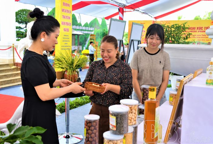 Bà Doãn Thị Thoa (đứng giữa), chủ cơ sở kinh doanh mắc ca Thoa Doãn, giới thiệu sản phẩm tại Hội nghị Xúc tiến đầu tư tỉnh Điện Biên năm 2026.