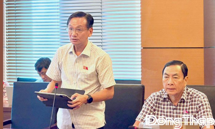 Đại biểu Đoàn Hùng Vũ phát biểu thảo luận.