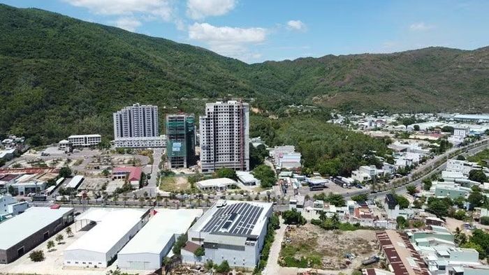 Khu đất thuộc đồ án quy hoạch Khu dân cư tại cụm kho bãi dọc quốc lộ 1D, phường Quy Nhơn Nam là nơi xây dựng Bệnh viện quốc tế Quy Nhơn. Ảnh: Trọng Lợi